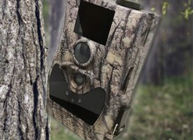 Vildtkamera + Tilbehr